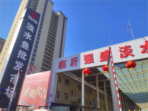 强盛集团回应法人是孙红雷(老板也是卖鱼出身太巧了)
