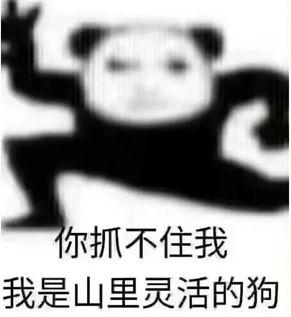 谁懂表情包的笑点