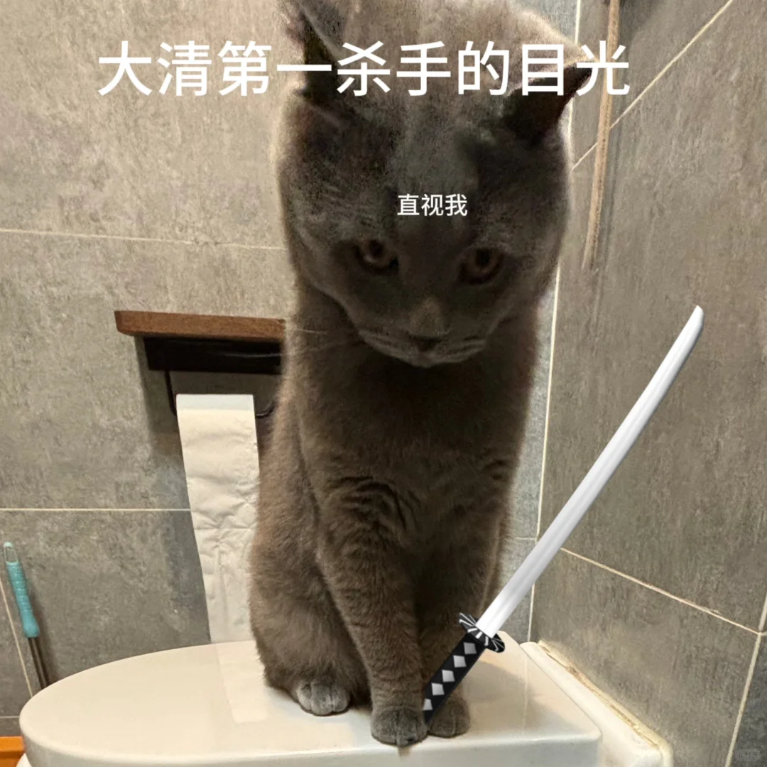 小猫表情包！！！