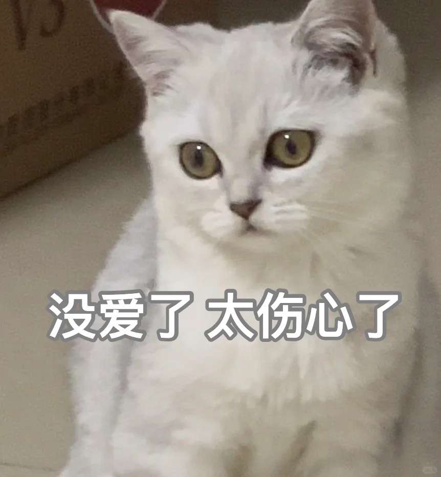 来组猫猫表情包