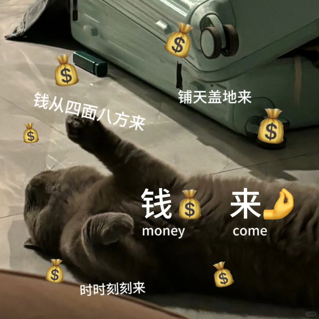 小猫表情包！！！