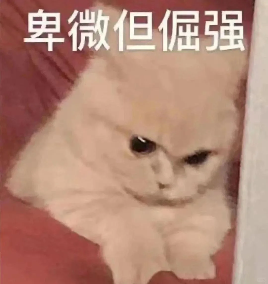 猫猫头表情包第二期