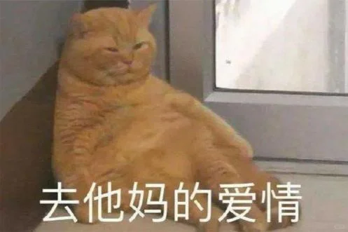 猫猫头表情包第二期