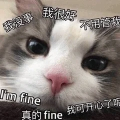 猫猫头表情包第二期