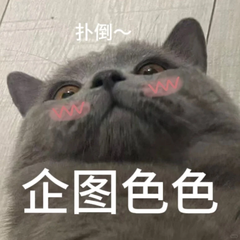 小猫表情包！！！