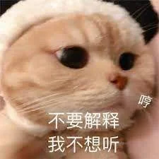 猫猫头表情包第二期