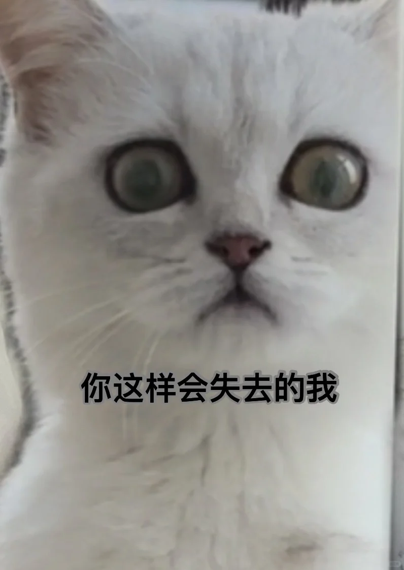 来组猫猫表情包