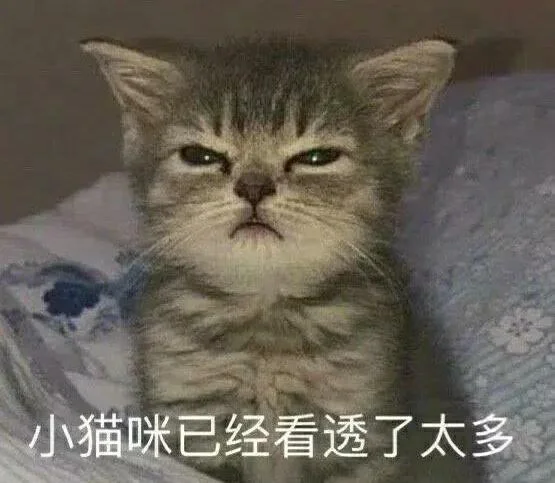 猫猫头表情包第二期