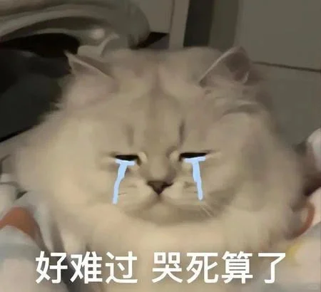 猫猫表情包～