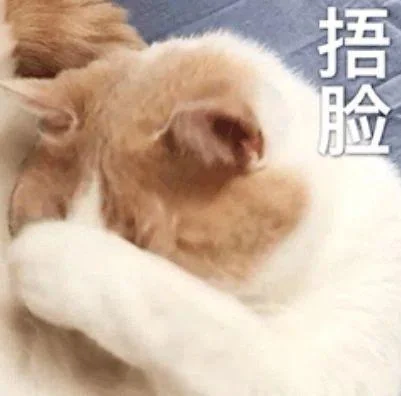 猫猫头表情包第二期