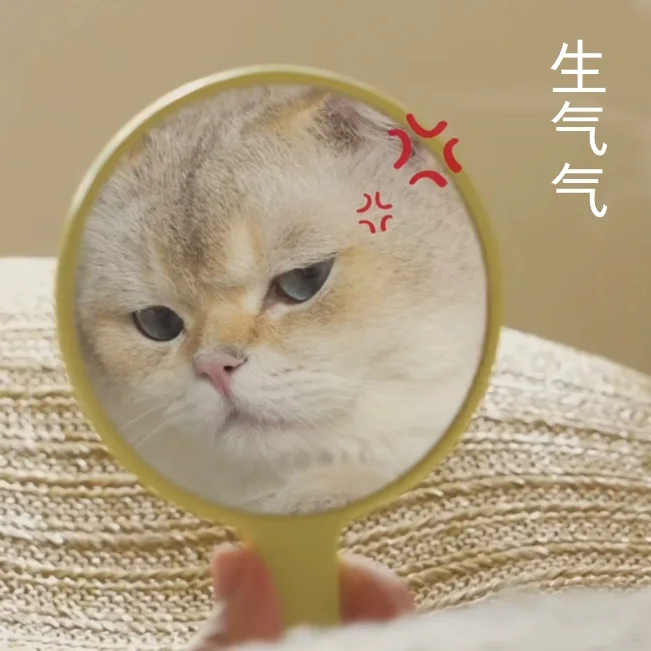 猫猫表情包 | 200