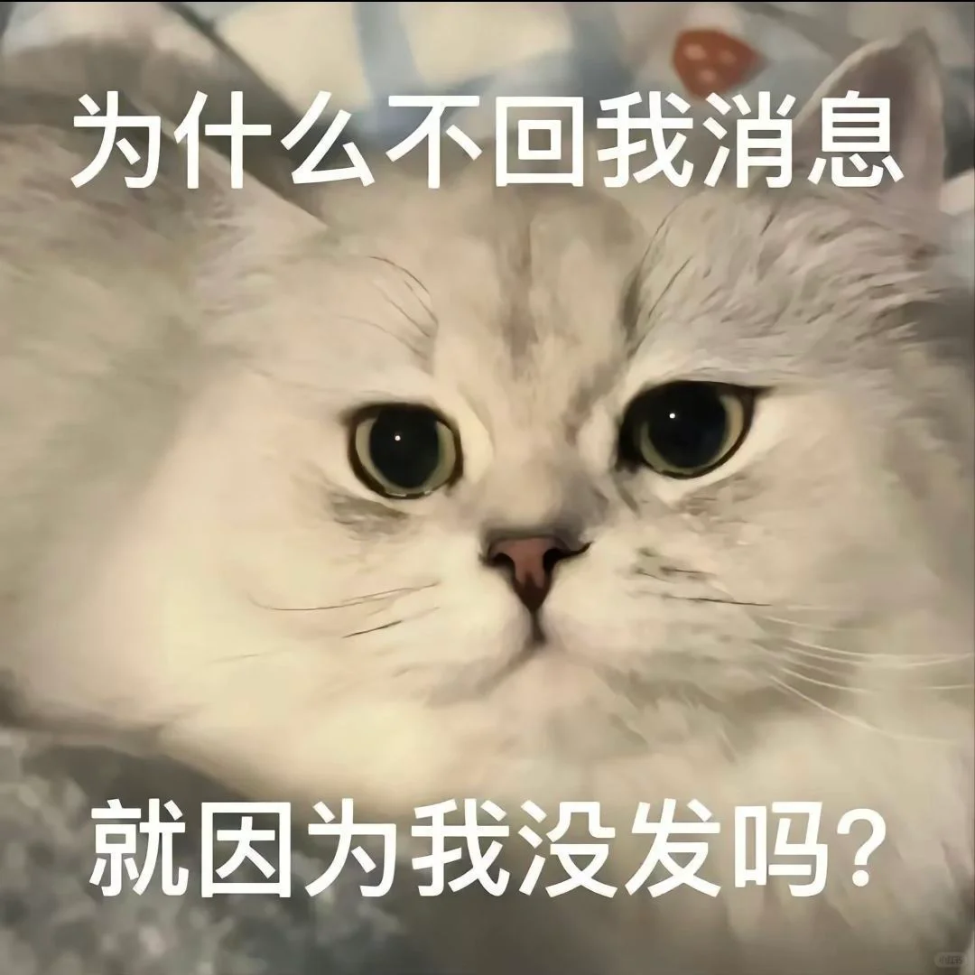 猫猫表情包～