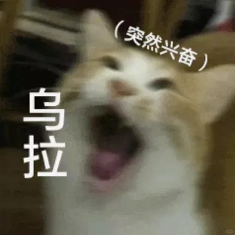 猫猫头表情包第二期