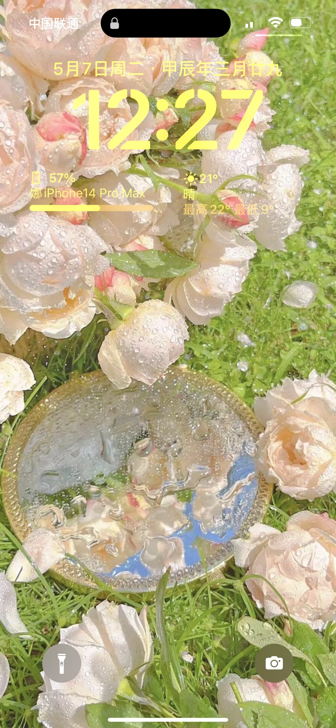 水中花?壁纸｜非常适合夏天哦！！