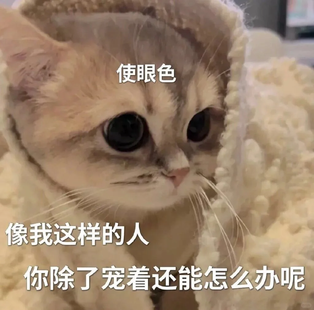 猫猫表情包～