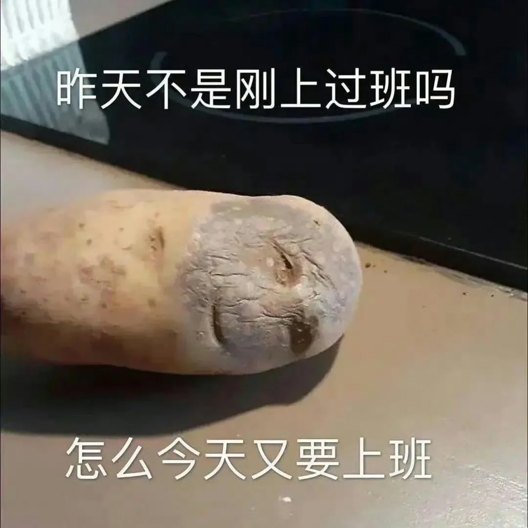 丰富一下好玩有趣的表情包