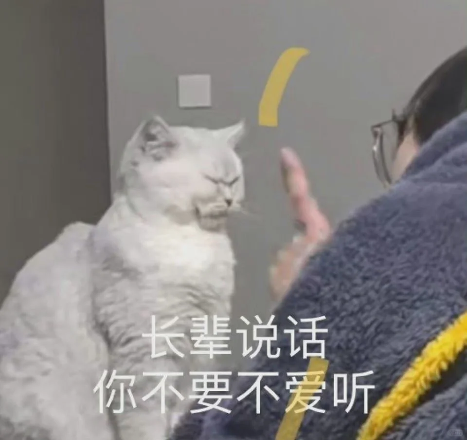 猫猫头表情包第二期