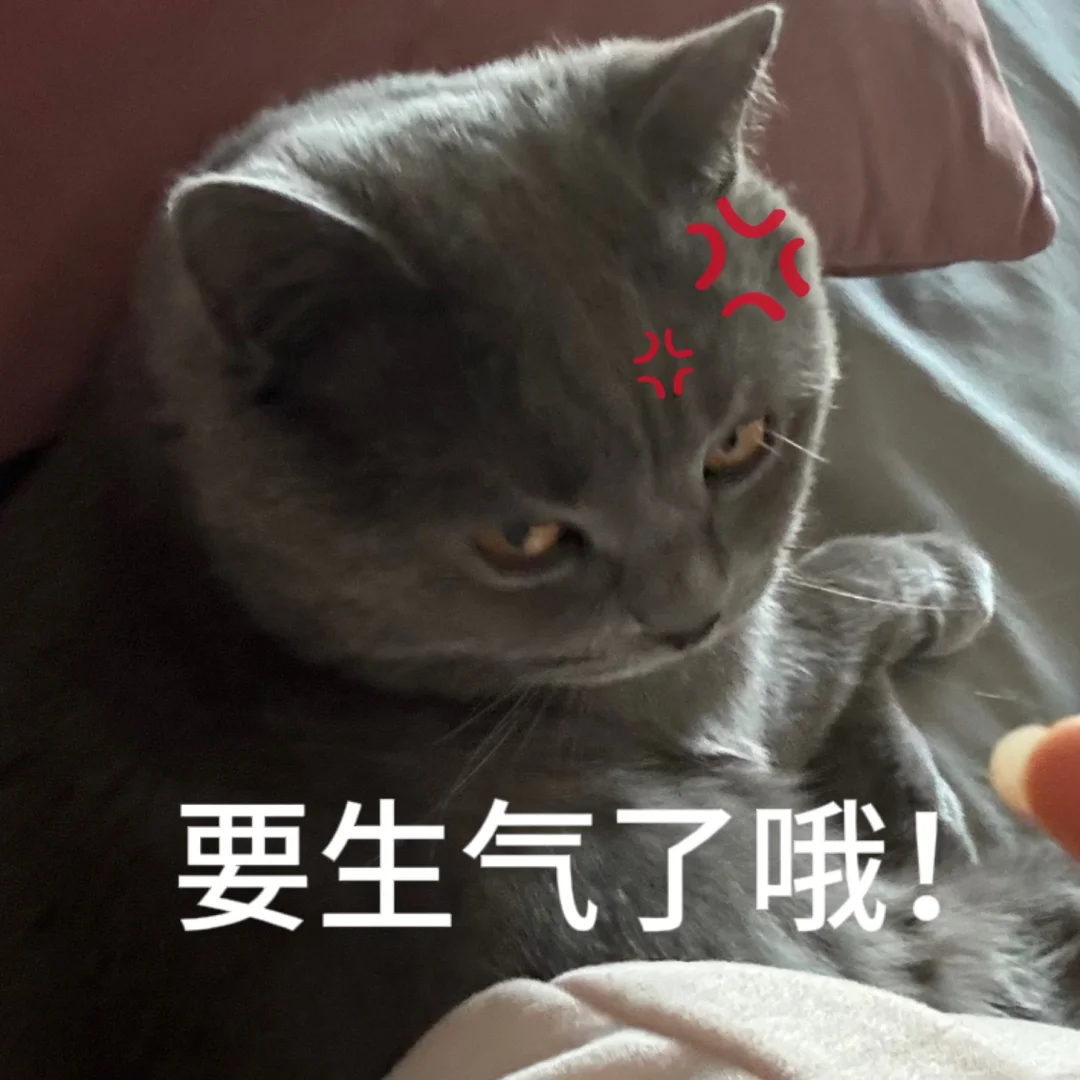 小猫表情包！！！