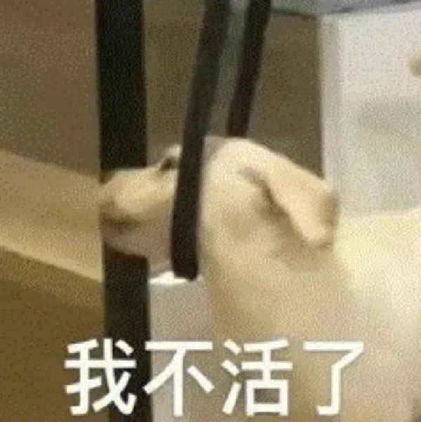 猫猫狗狗表情包