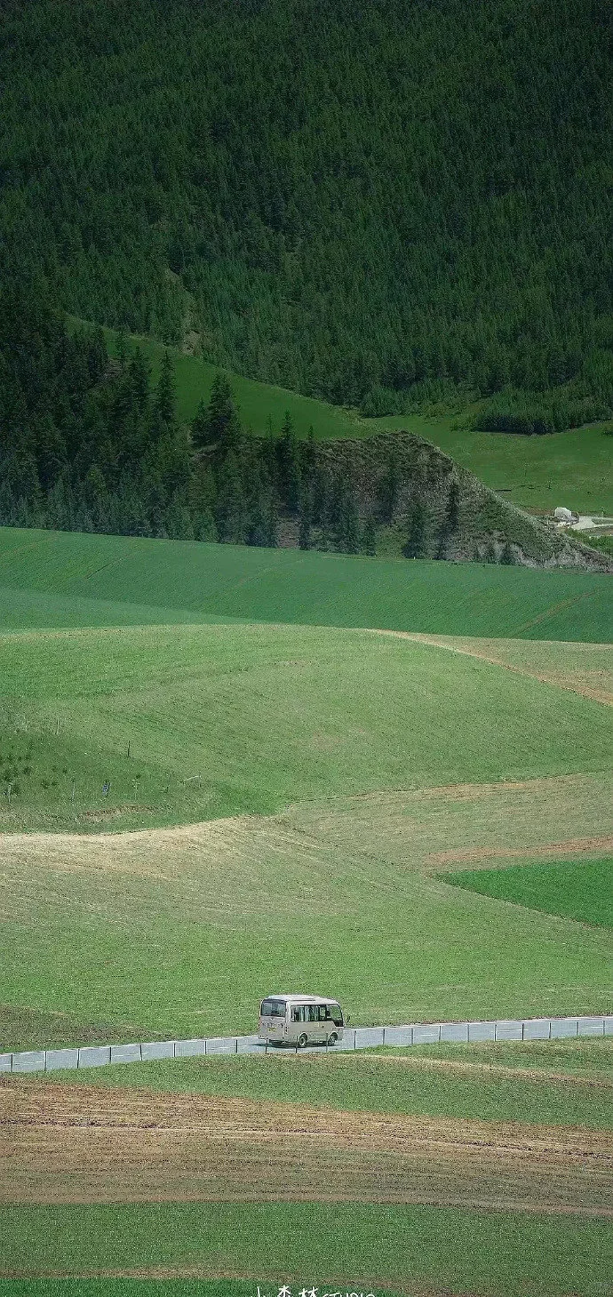 森林风景壁纸?