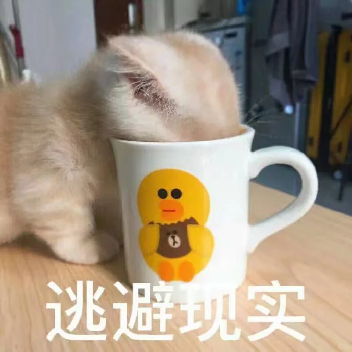 可爱猫咪表情包