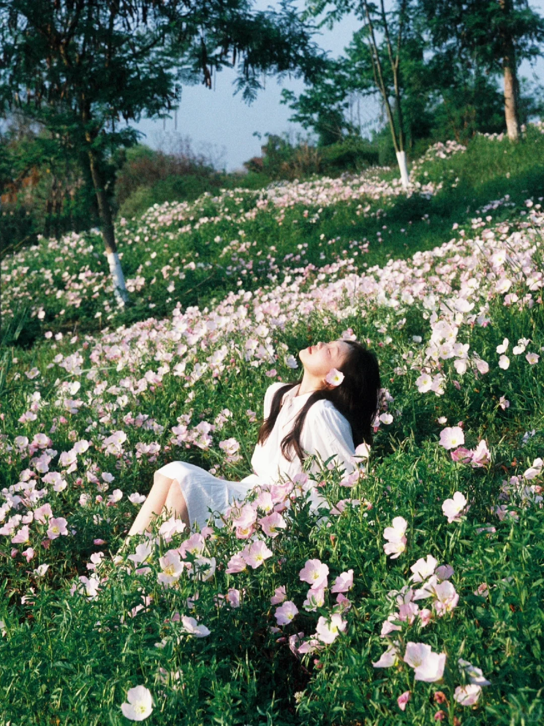 月见草拍照好韩系少女| 胶片写真