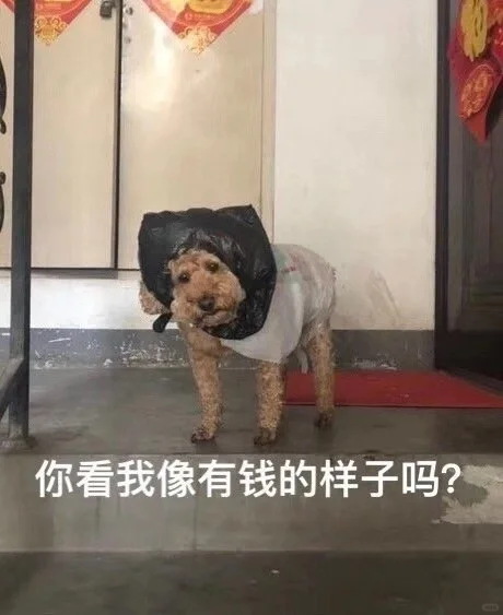 小众实用表情包