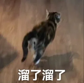 专属于我猫猫的表情包～