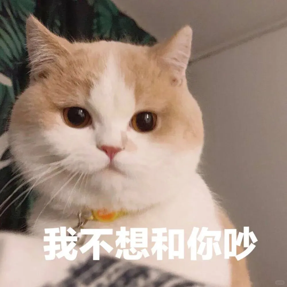 可爱猫咪表情包