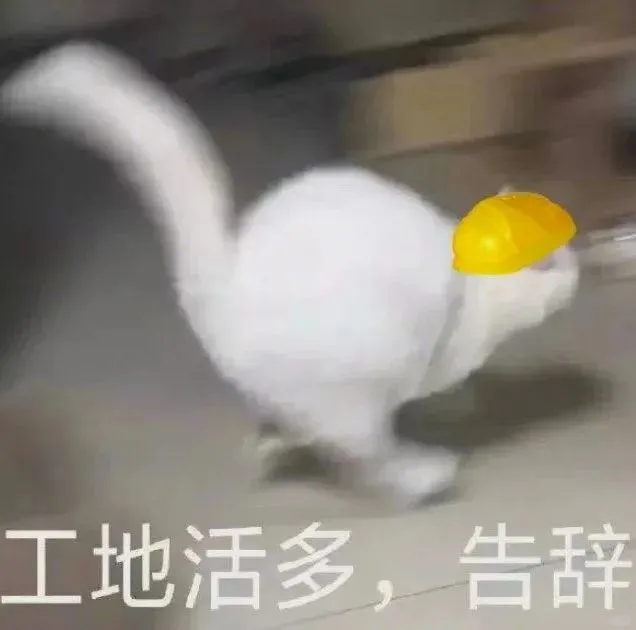 猫猫狗狗表情包