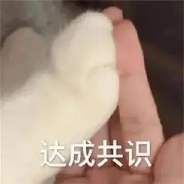 猫语：你不要在睡了表情包