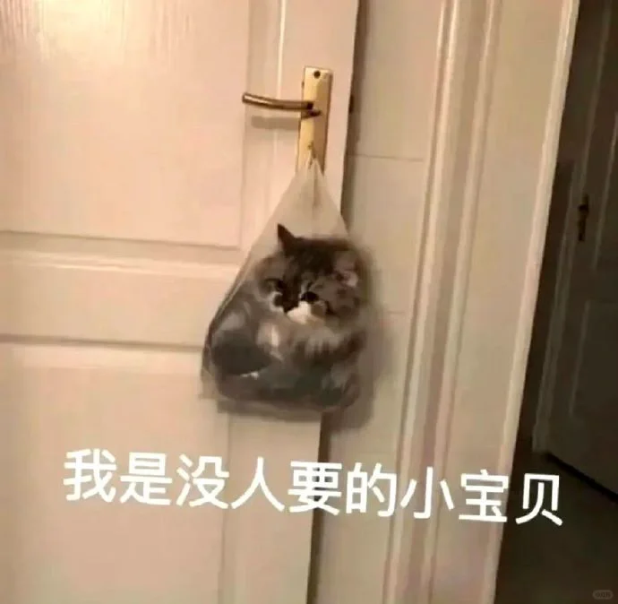 分享｜猫猫狗狗搞笑表情包