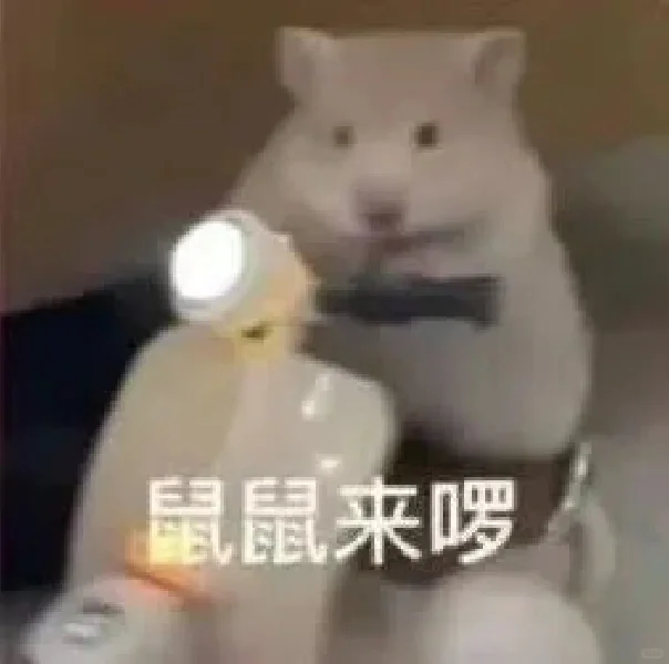 猫语：你不要在睡了表情包