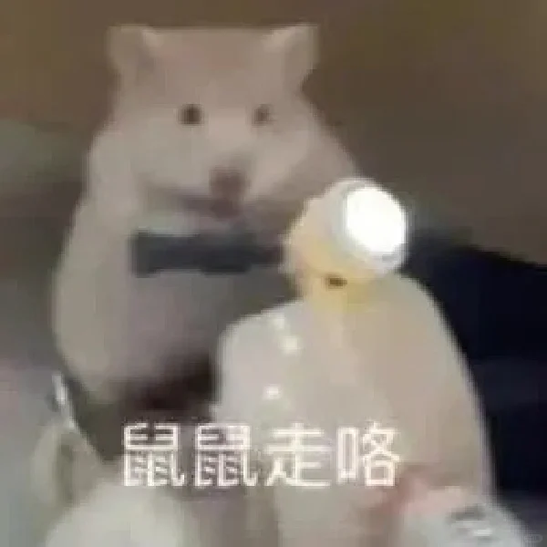 猫语：你不要在睡了表情包