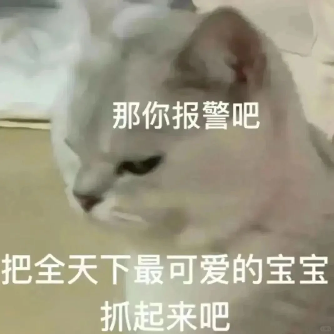 猫语：你不要在睡了表情包