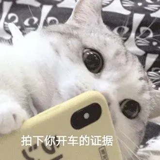 可爱猫咪表情包