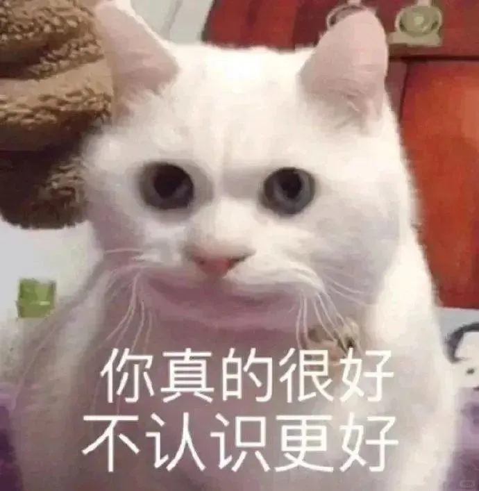 猫猫狗狗表情包