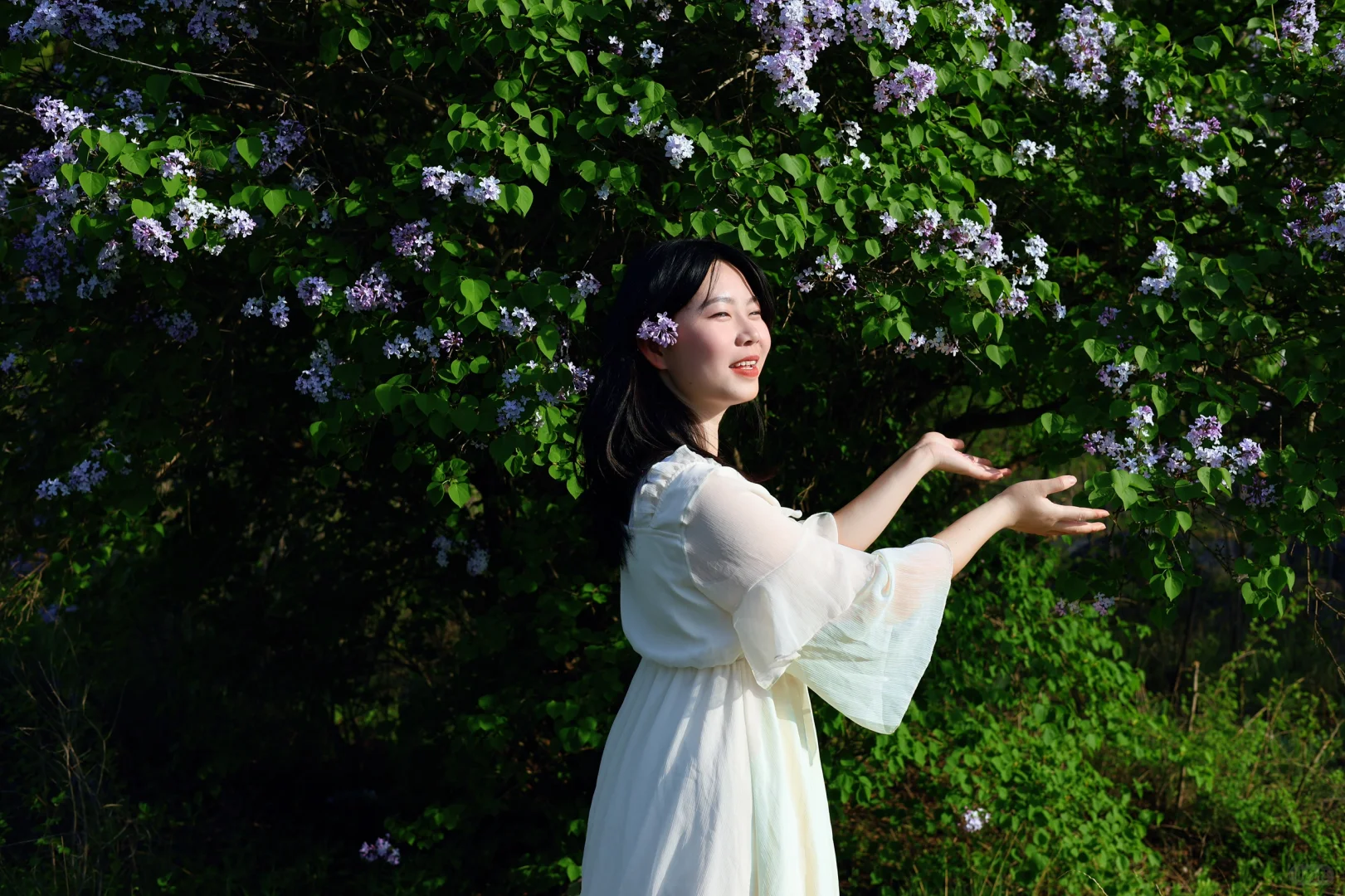 公园写真｜沉沦花海?