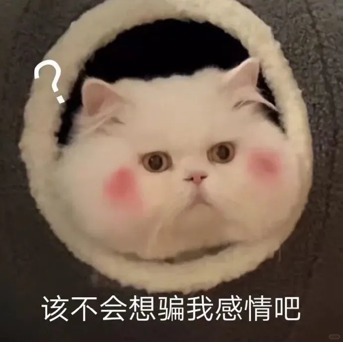 可爱猫咪表情包