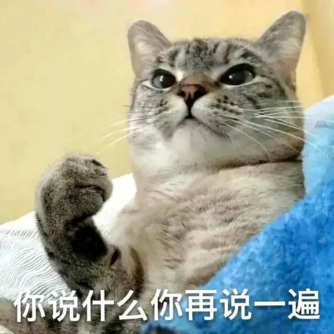 分享｜猫猫狗狗搞笑表情包