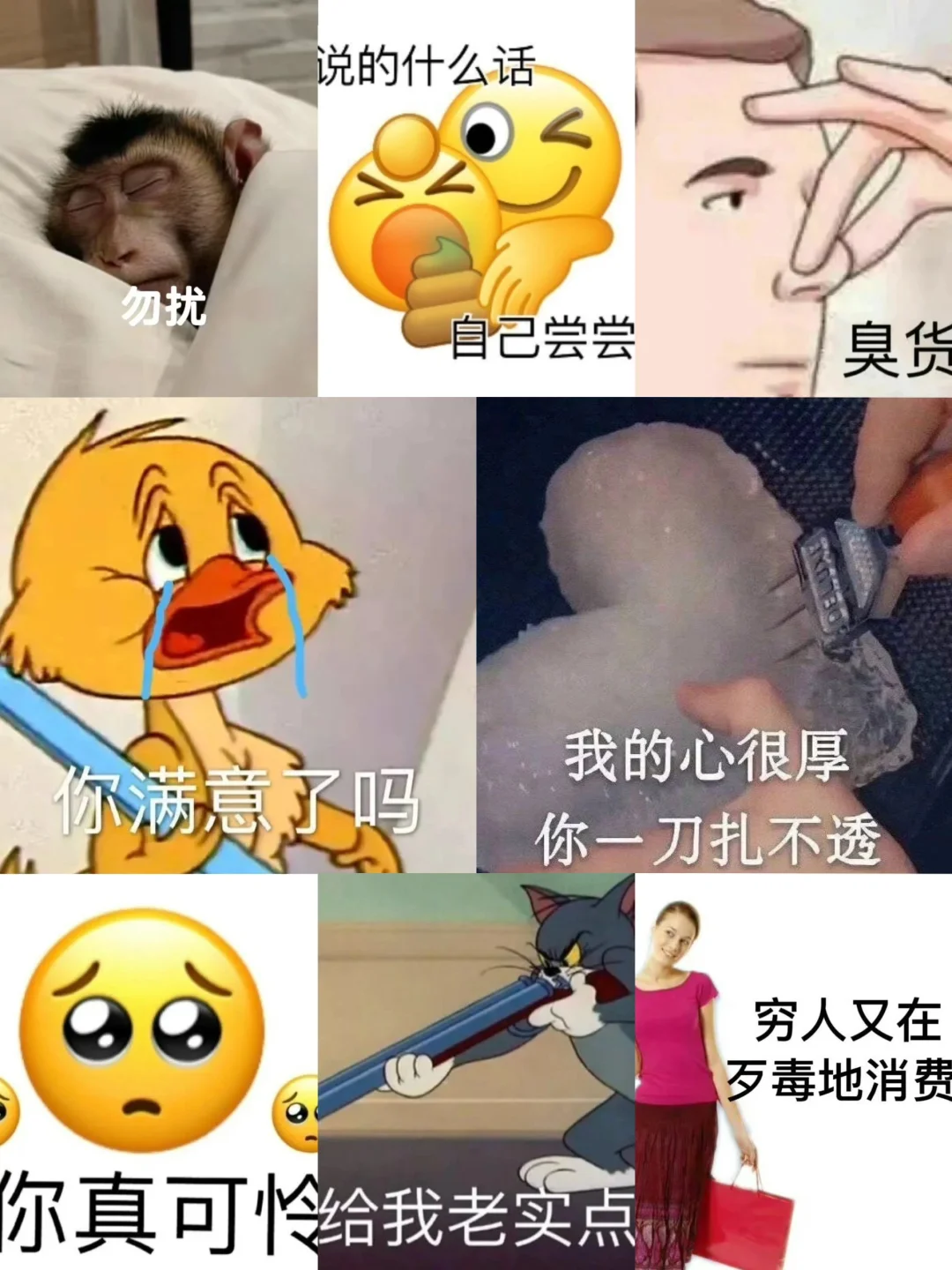 WeChat表情包（48）