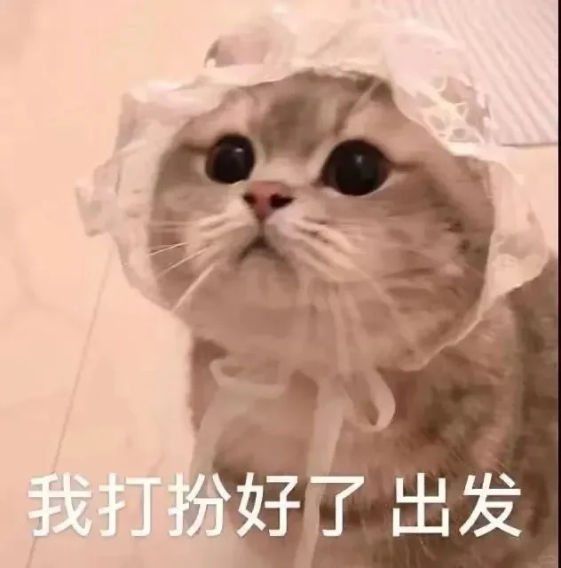 猫语：你不要在睡了表情包