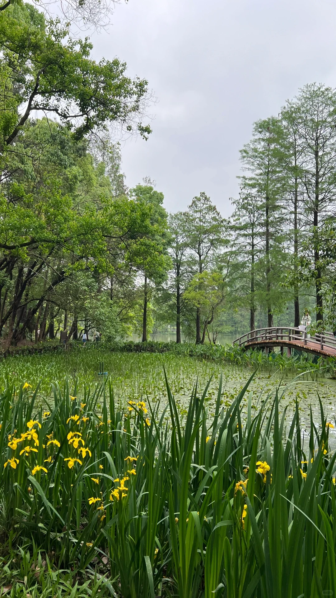 武汉｜东湖落雁景区