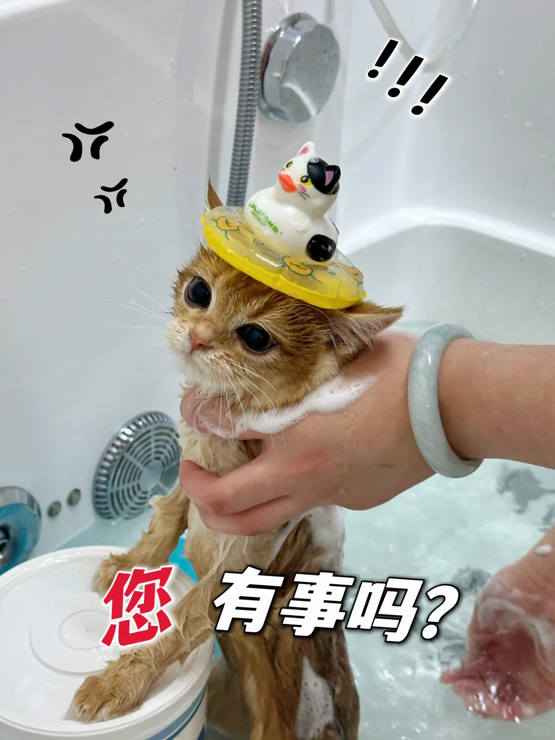 私房写真集