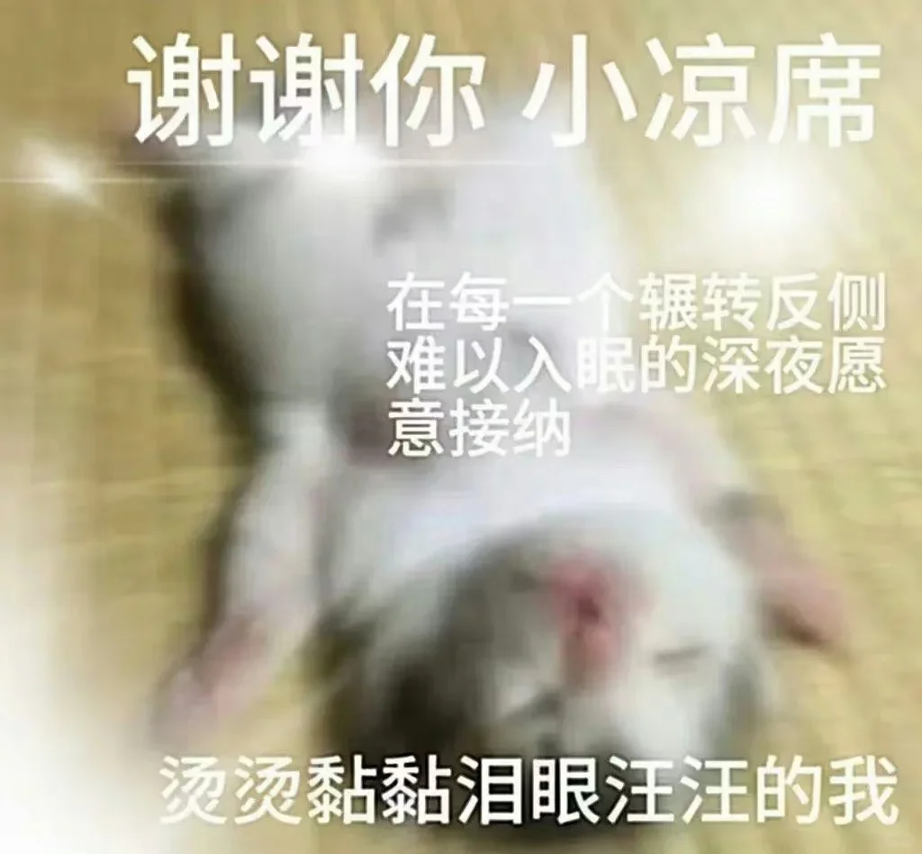 猫咪表情包