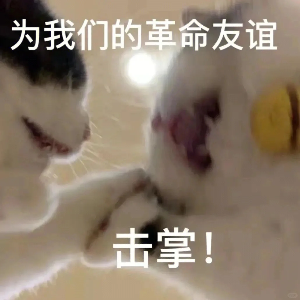 猫咪版情侣套路表情包