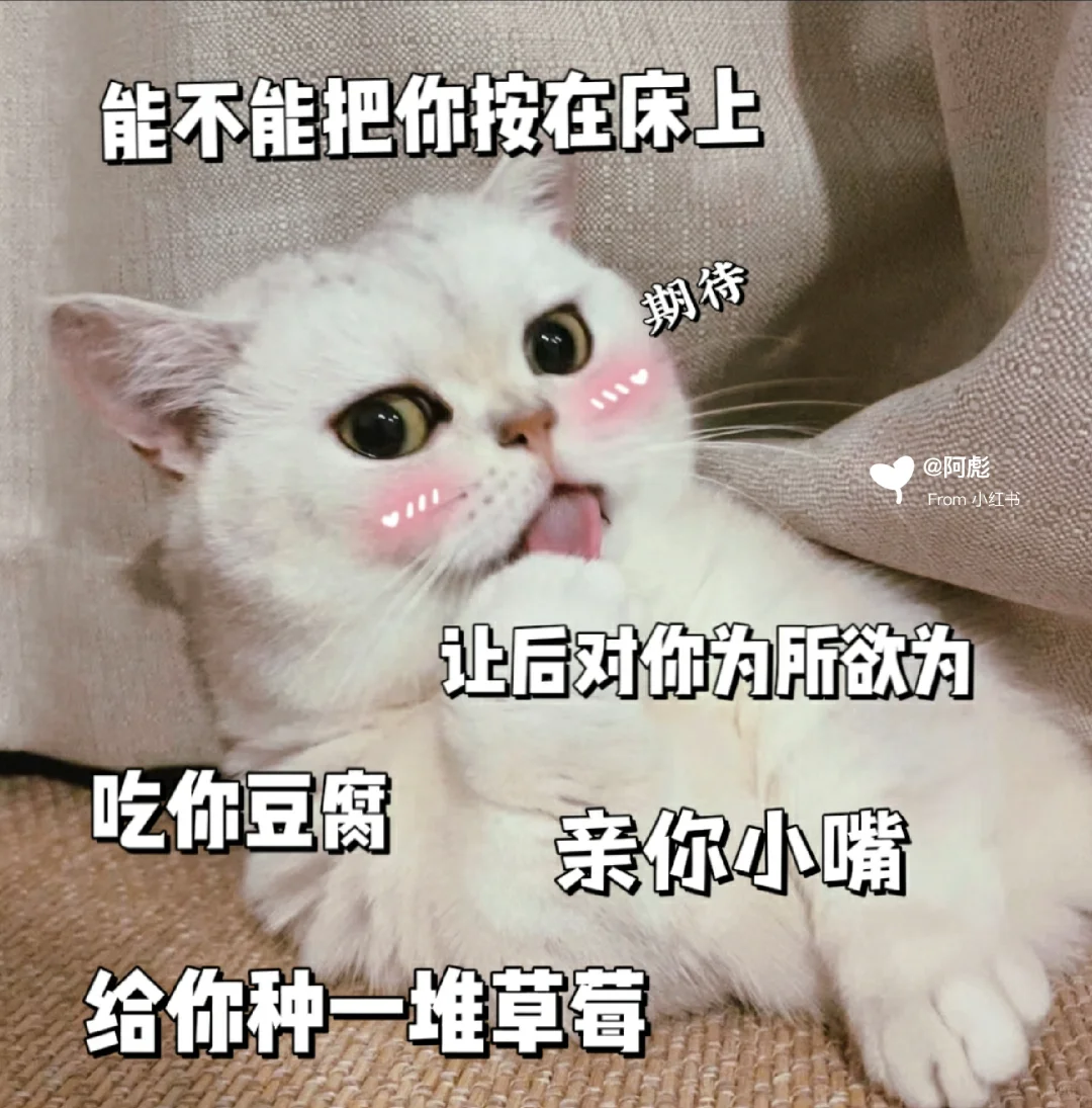 猫咪表情包?我想看看在你心里的位置