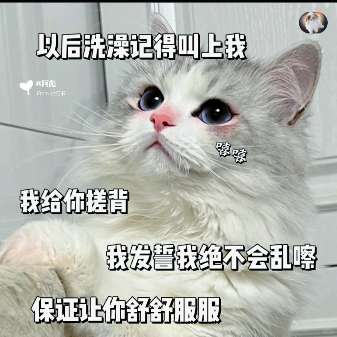 猫咪表情包?我想看看在你心里的位置