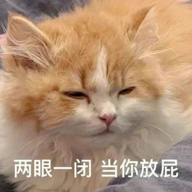 猫咪版情侣套路表情包