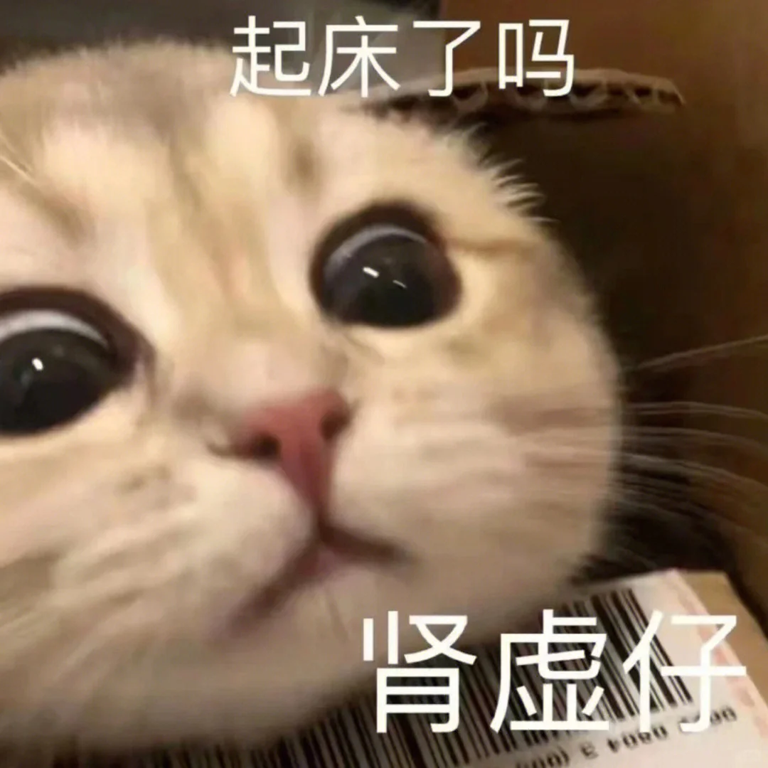 猫咪版情侣套路表情包